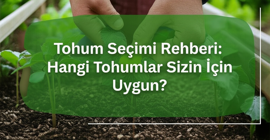 Tohum Seçimi Rehberi: Hangi Tohumlar Sizin İçin Uygun?